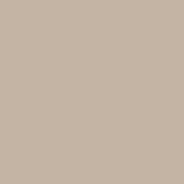 生のり付き壁紙 ライトブラウン 織物調 防かび 抗菌 表面強化 撥水 東リ VS2051 旧品番VS1059