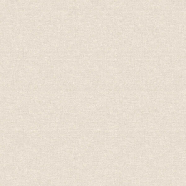 生のり付き壁紙 ベージュ 織物調 防かび 抗菌 表面強化 撥水 東リ VS2057