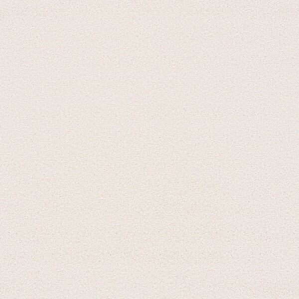 生のり付き壁紙 アイボリー 織物調 防かび 東リ VS8019