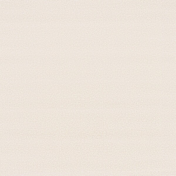 生のり付き壁紙 ベージュ 織物調 防かび 東リ VS8020