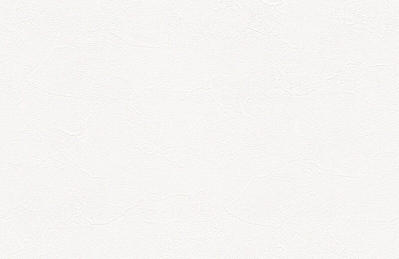 生のり付き壁紙 ホワイト 塗り壁調 表面強化 防かび 東リ VS8054