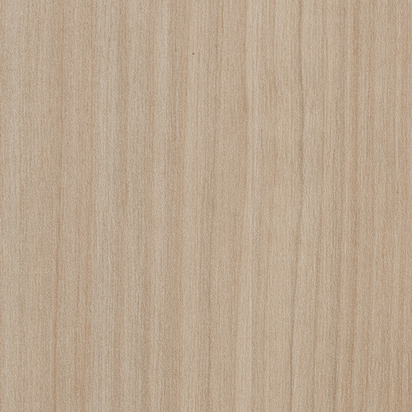 フィールドバーチ