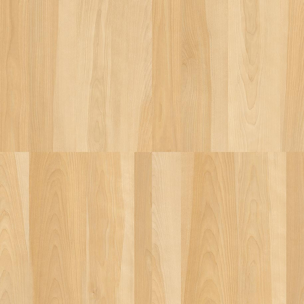 フィールドバーチ