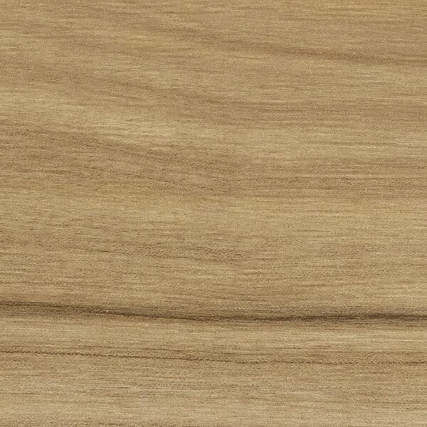 ロシータバーチ