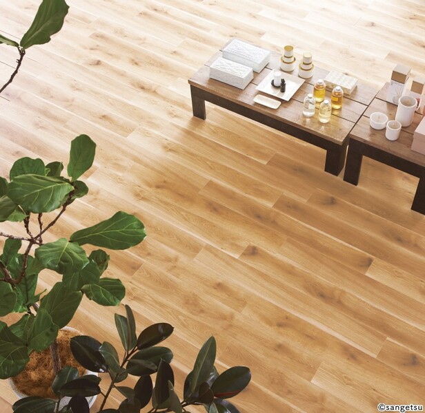 フォルティオーク