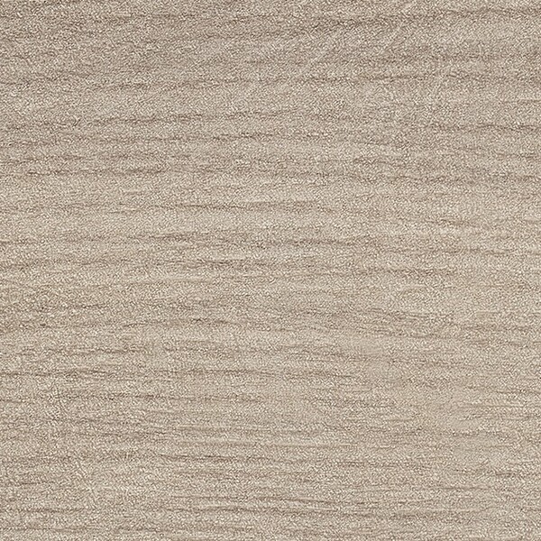 ガリシアエルム