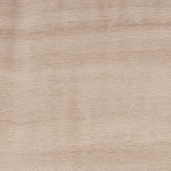 シルキーメイプル