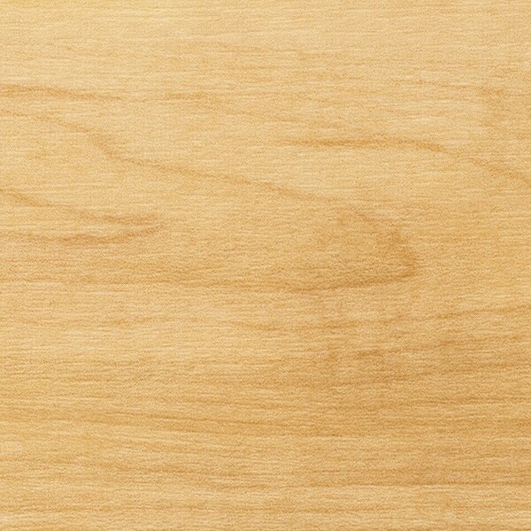 シュガーメイプル