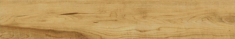 シュガーメイプル