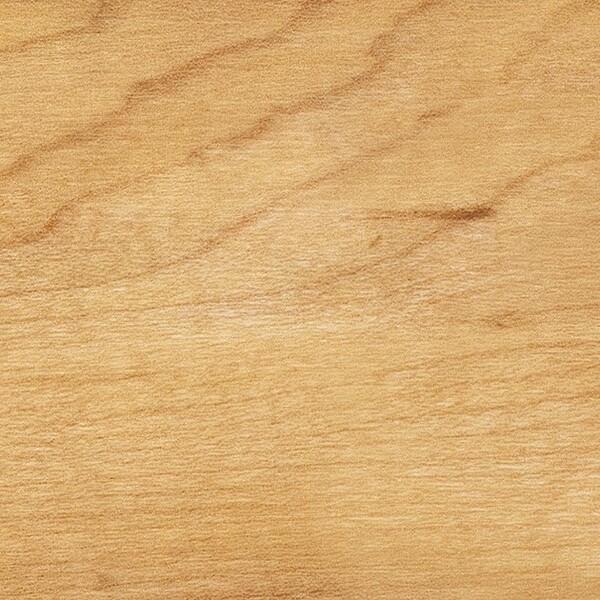 シュガーメイプル