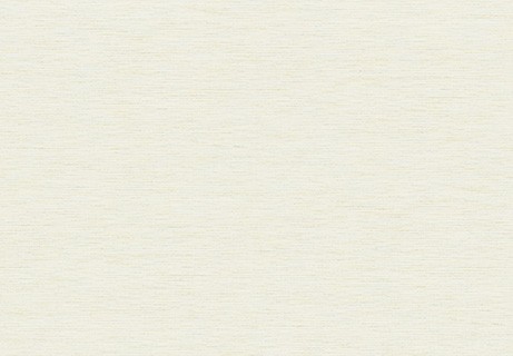 空気を洗う壁紙 クラフトライン 芭蕉