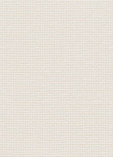 空気を洗う壁紙 クラフトライン 紙衣