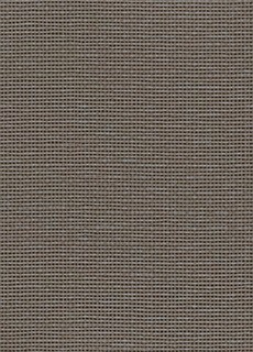 空気を洗う壁紙 クラフトライン 紙衣