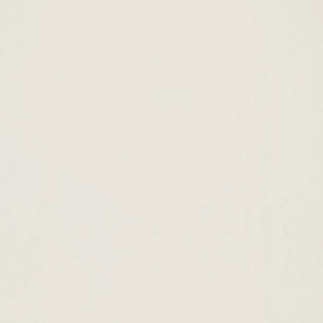 ニューソフトン