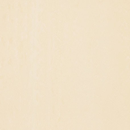 ニューソフトン