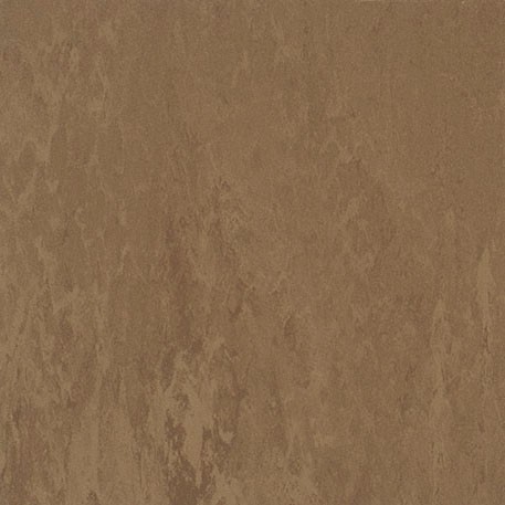 ニューソフトン