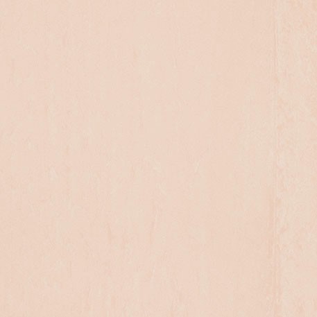 ニューソフトン