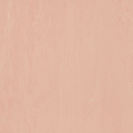 ニューソフトン