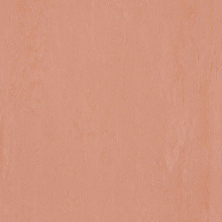 ニューソフトン