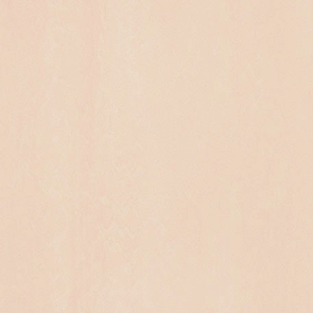 ニューソフトン