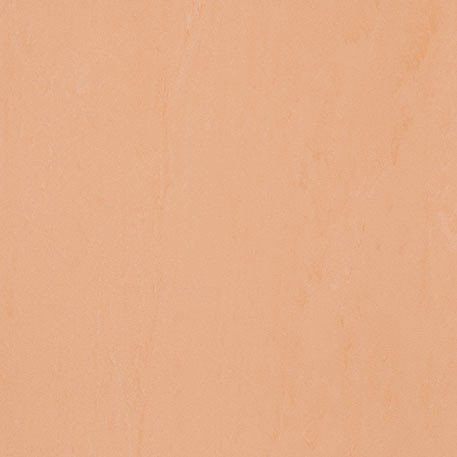 ニューソフトン