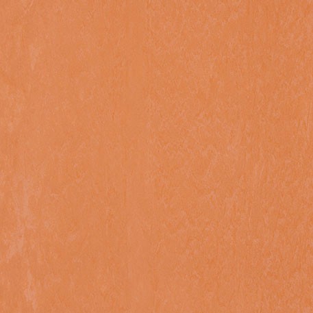 ニューソフトン