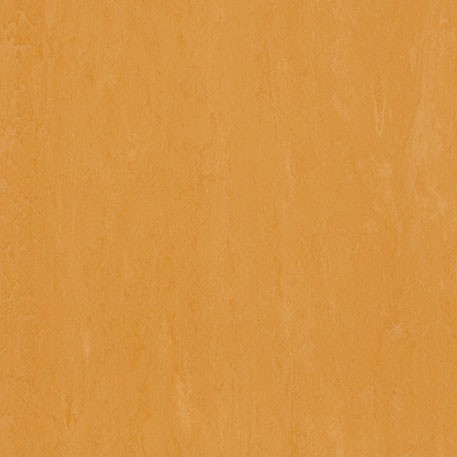 ニューソフトン