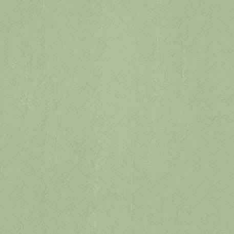 ニューソフトン