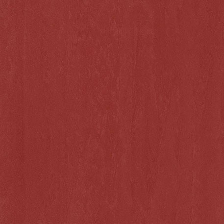 ニューソフトン