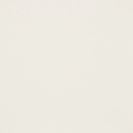 ニューソフトン