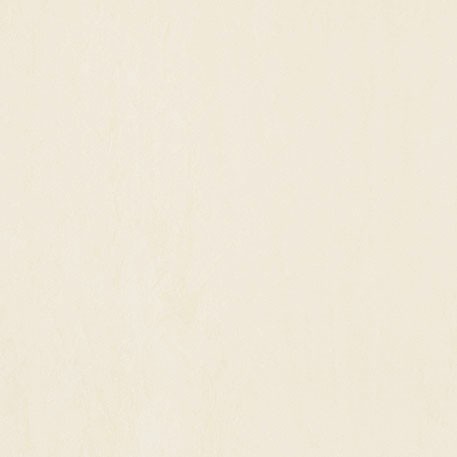 ニューソフトン