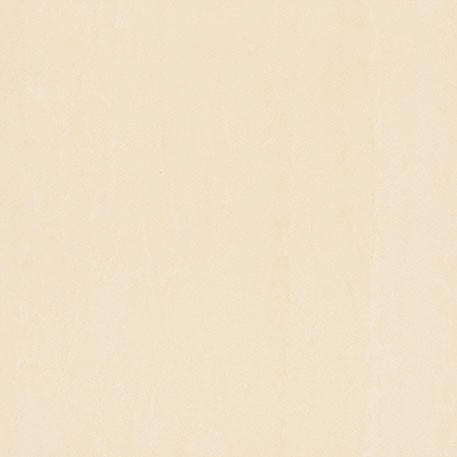 ニューソフトン