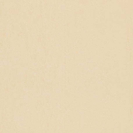 ニューソフトン