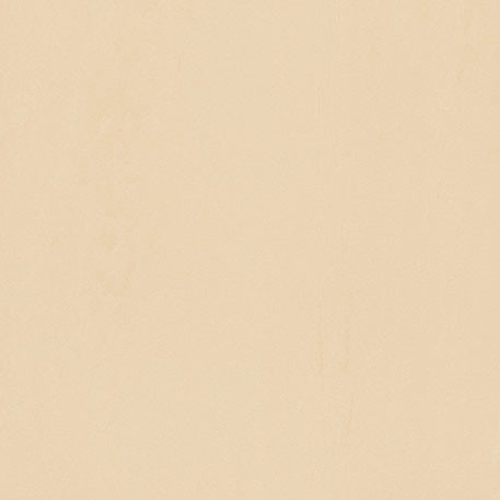 ニューソフトン