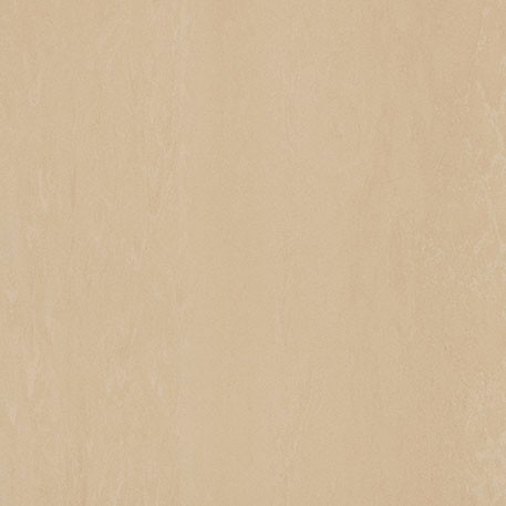 ニューソフトン