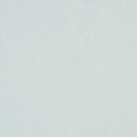 ニューソフトン