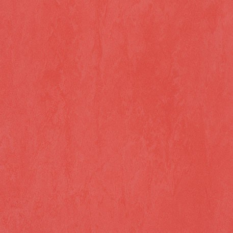 ニューソフトン