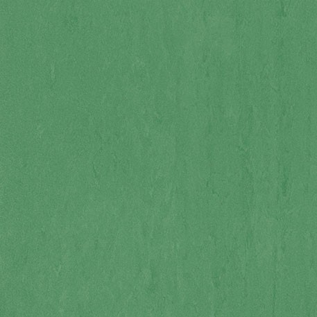 ニューソフトン