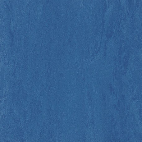 ニューソフトン