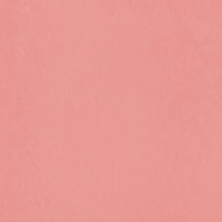 ニューソフトン