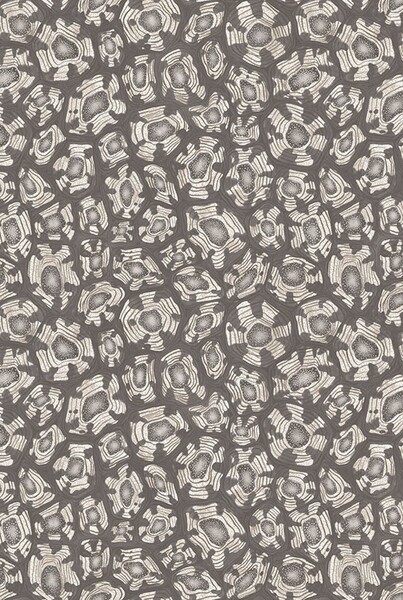 Savanna Shell