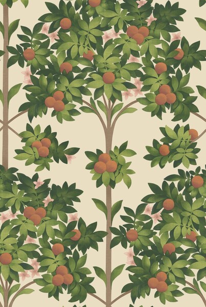 Orange Blossom