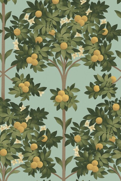 Orange Blossom