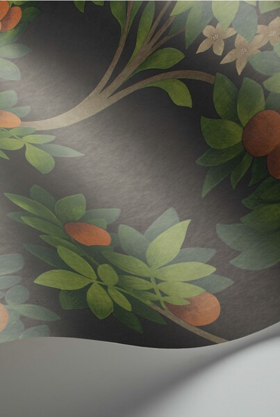 Orange Blossom