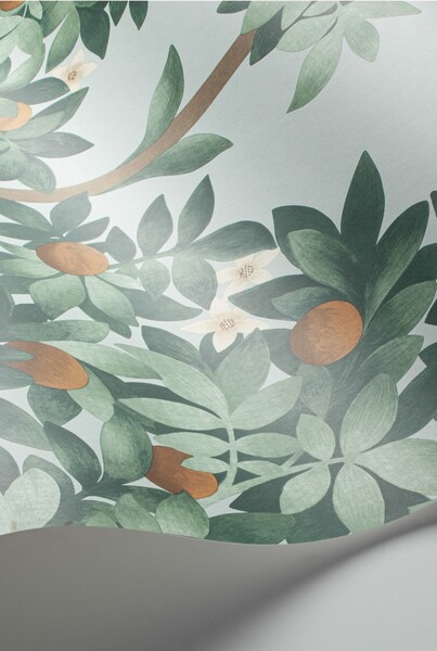 Orange Blossom