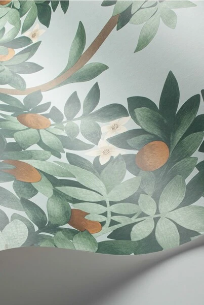 Orange Blossom