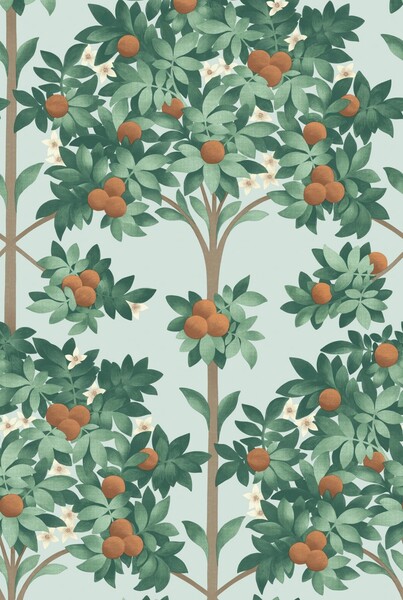Orange Blossom