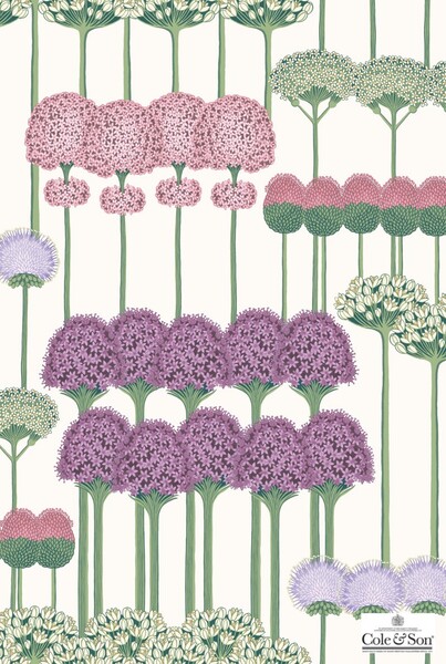 Allium