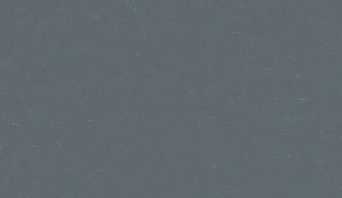 ダークグレー ノンワックスコーティング＋抗菌+抗ウイルス+重歩行 TAJIMA 4070M 