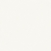 空気を洗う壁紙 Paint Touch  天井用